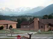 for web site with elk