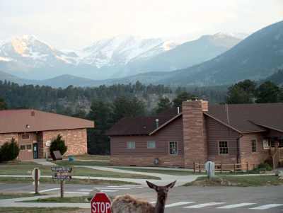 for web site with elk