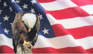 eagle and flag